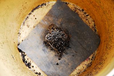 A view inside the bucket