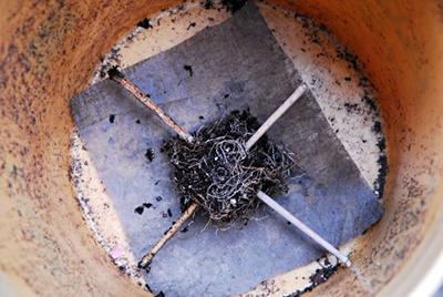 Placing the support sticks