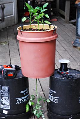 Plants on the top and bottom