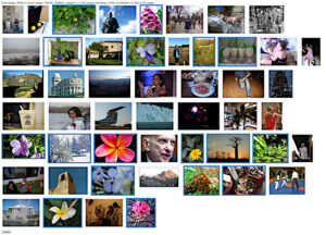 Sample image vetting page.