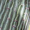 Acer davidii, bark