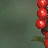 Ilex decidua 'Pocohontas', fruit