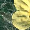 Saruma henryi, flowers