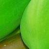 Carica papaya, fruit