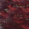 Enkianthus perulatus, fall color