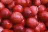 Vaccinium macrocarpon, fruit