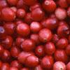 Vaccinium macrocarpon, fruit