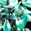 Strongylodon macrobotrys, flowers