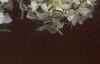 Hydrangea grandiflora, flowers