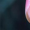 Tulipa 'Sweety', flowers