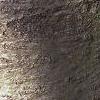 Abies balsamea, bark