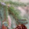 Picea abies 'Acrocona', fruit