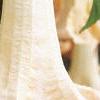 Brugmansia versicolor 'Peach Chandelier', flowers
