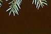 Taxus baccata, leaves