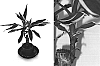 Dracaena%20Vand.%20Ex.%20L.%20fragrans%20%27Goldream%27