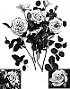 Rosa%20hybrida%20%27Hadmoo%27