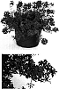 Verbena%20hybrida%20%27USBENAS10%27
