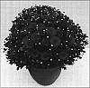 Chrysanthemum%20morifolium%20%27Peacock%20Royal%27