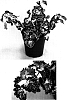 Solenostemon%20scutellarioides%20%27Kakegawa%20CE5%27