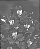Alstroemeria%20hybrida%20%27Zalsamot%27