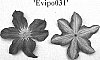 Clematis%20viticella%20%27EVIPO031%27