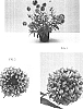 Gaillardia%20pulchella%20%27Baltorflam%27