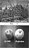 Prunus%20armenica%20%27H%201995%20cv%27
