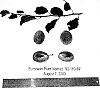 Prunus%20domestica%20%2792-110-69%27