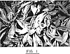 Illicium%20floridanum%20%27Gaddy%27