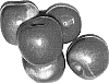 Malus%20pumila%20%27Fugachee%20Fuji%27