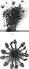 Osteospermum%20ecklonis%20%27Balserlabli%27