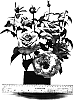 Rosa%20hybrida%20%27WEKblunez%27