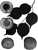 Prunus%20armeniaca%20x%20Prunus%20salicina%20%27Autumn%20Sprite%27