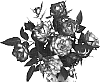 Rosa%20hybrida%20%27minima%27%20%27BENpico%27
