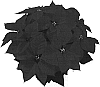 Euphorbia%20pulcherrima%20%27NPCW04097%27