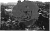Rosa%20hybrida%20%27Meitravia%27