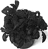 Fittonia%20verschaffeltii%20%27Forest%20Flame%27