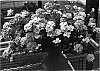 Verbena%20hybrida%20%27Sunmarisakura%27