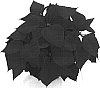 Euphorbia%20pulcherrima%20%27Stargazer%27
