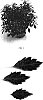 Solenostemon%20scutellarioides%20%27Balaublach%27