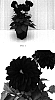 Dahlia%20variabilis%20%27Dapapu%27