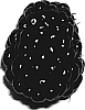 Rubus%20sp.%20%27Ouachita%27