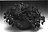 Impatiens%20walleriana%20%27Imtralila%27