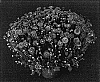 Chrysanthemum%20x%20morifolium%20%27Elegant%20Yomarjorie%27