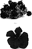 Pelargonium%20peltatum%20%27SIL%20RUBEN%27