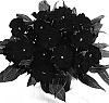 Impatiens%20hawkeri%20%27Duerivdared%27