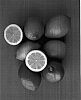 Citrus%20limon%20%27Yellow%20Star%20Seedless%27