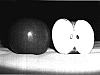 Malus%20domestica%20%27SJ303%27