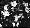 Hibiscus%20moscheutos%20%27Splash%20Yopinot%20Grigio%27