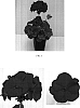 Pelargonium%20x%20hortorum%20%27Balluresion%27